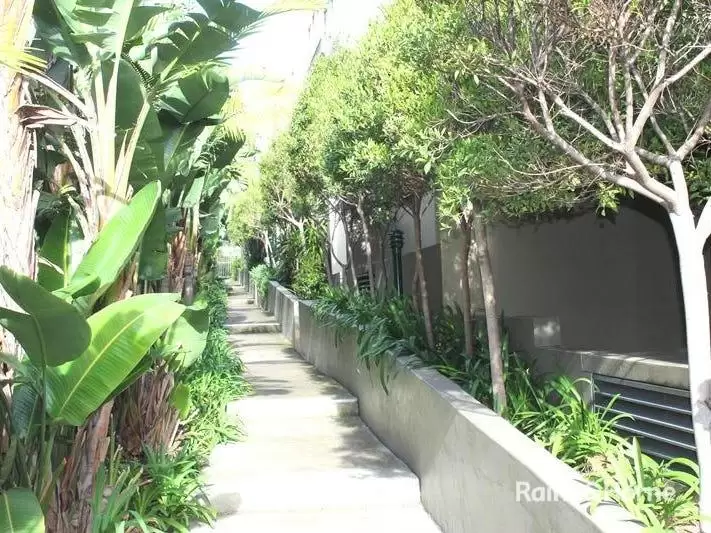 20/6A Cowper Street, Randwick Leased by Raine & Horne Randwick | Coogee | Clovelly - image 6