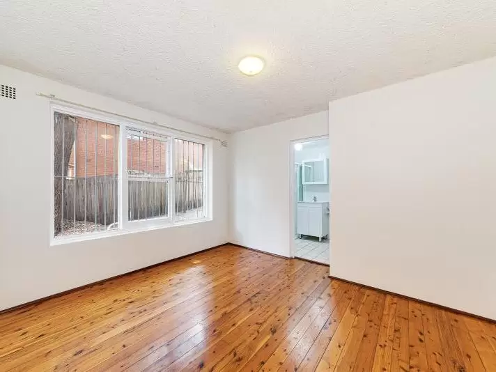 2/295 Avoca Street, Randwick For Lease by Raine & Horne Randwick | Coogee | Clovelly - image 3