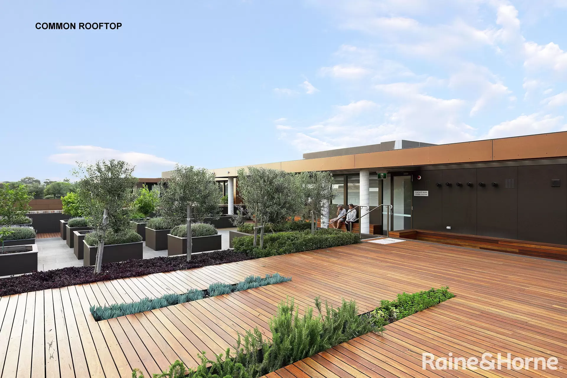 404/75 Macdonald Street, Erskineville Leased by Raine & Horne Randwick | Coogee | Clovelly - image 1