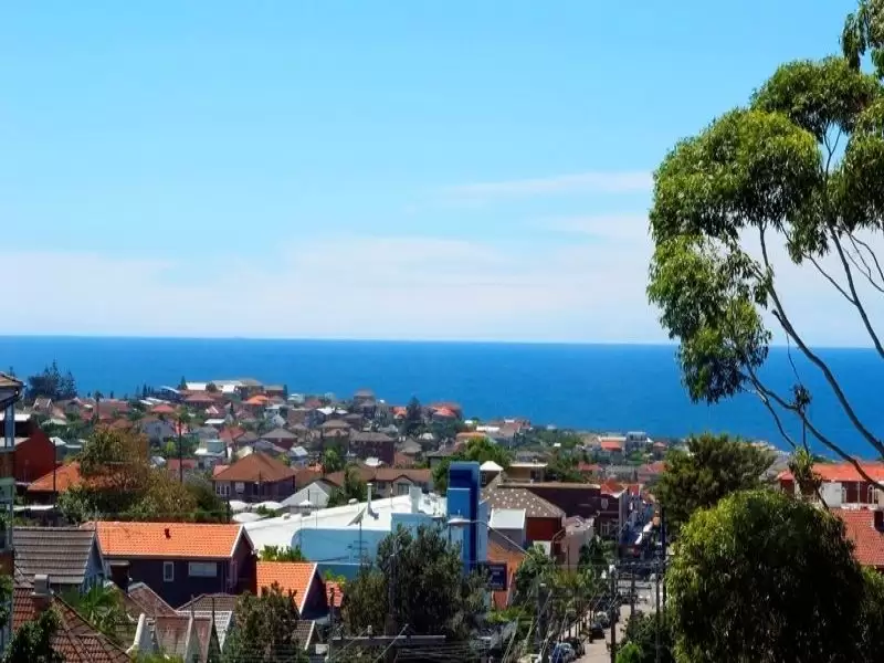 230 Clovelly Road, Clovelly Leased by Raine & Horne Randwick | Coogee | Clovelly - image 8