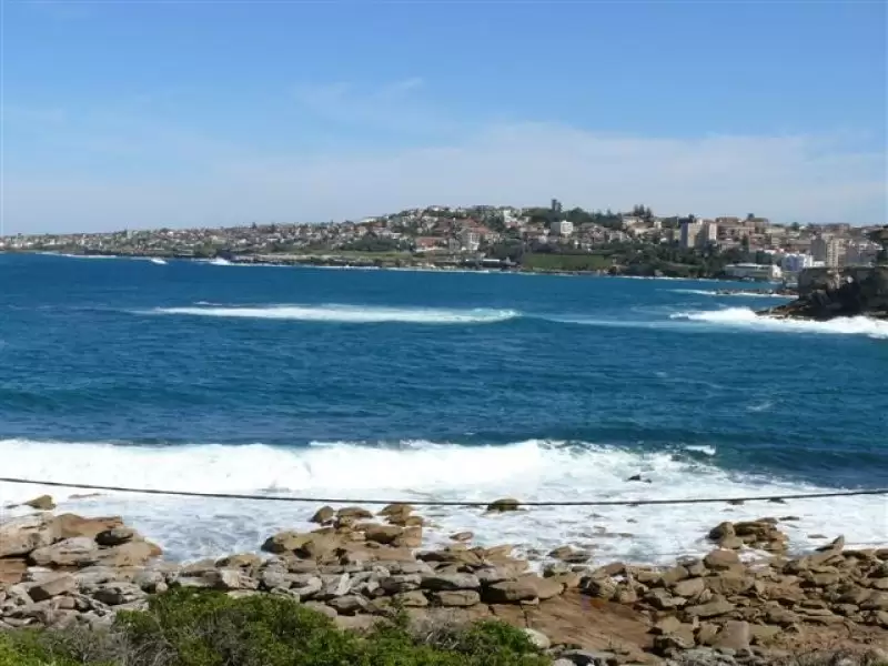 10 Lowe Street, Clovelly Leased by Raine & Horne Randwick | Coogee | Clovelly - image 1