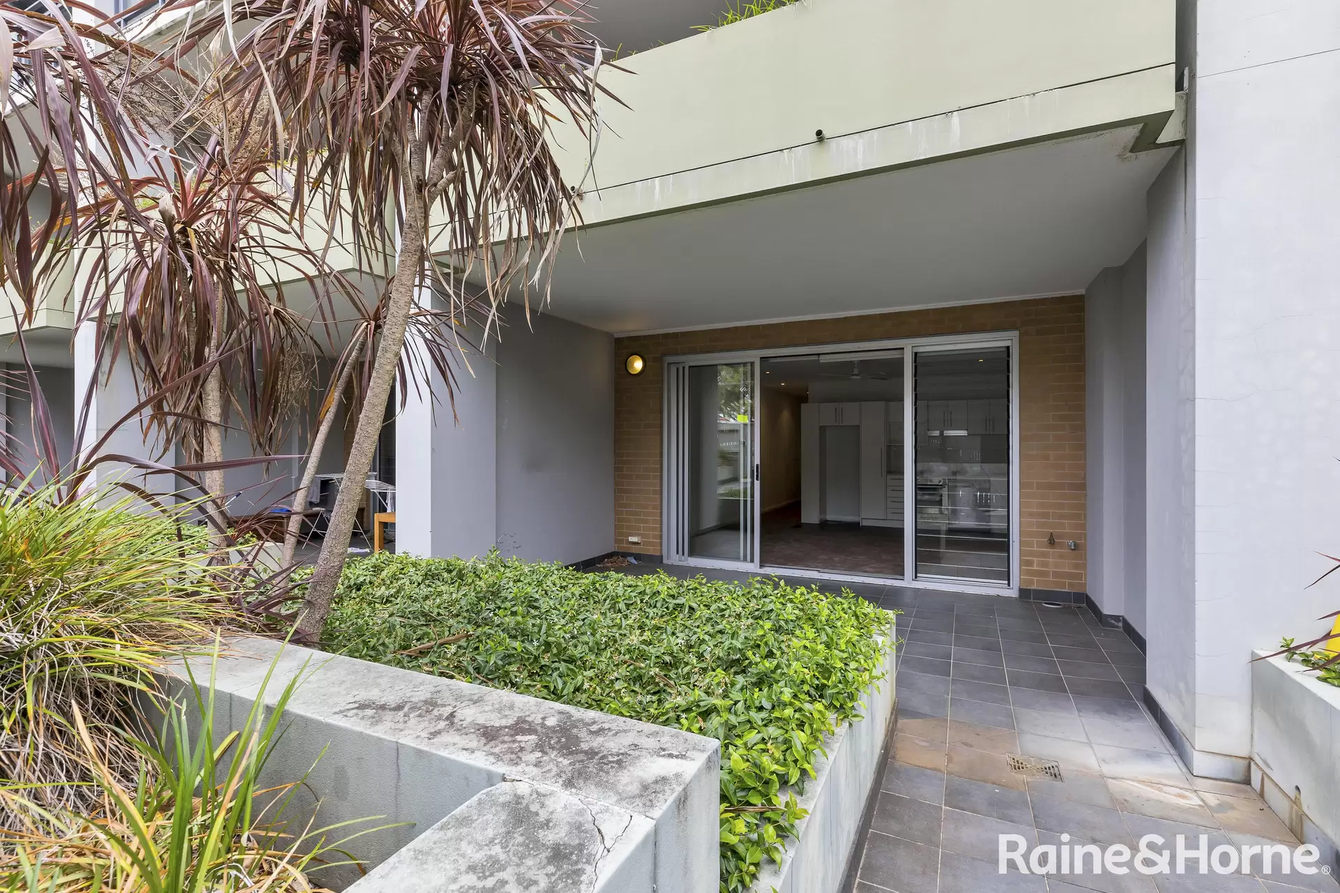 6/34 Avoca Street, Randwick Leased by Raine & Horne Randwick | Coogee | Clovelly - image 1