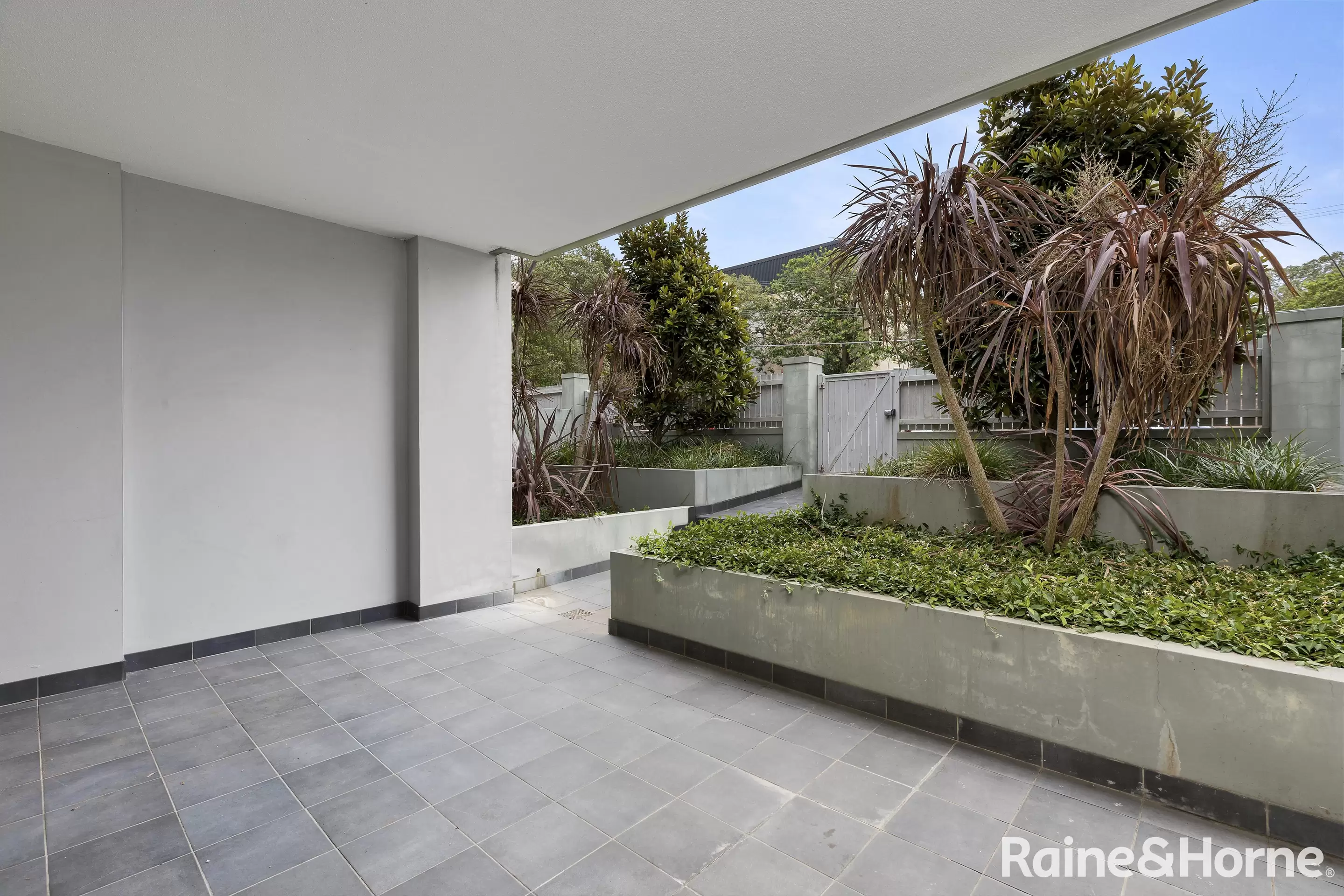 6/34 Avoca Street, Randwick Leased by Raine & Horne Randwick | Coogee | Clovelly - image 5