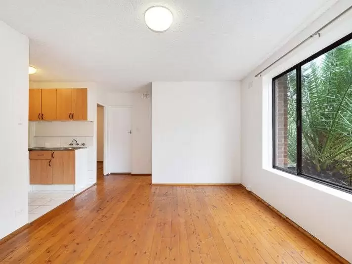 6/295 Avoca Street, Randwick Leased by Raine & Horne Randwick | Coogee | Clovelly - image 1