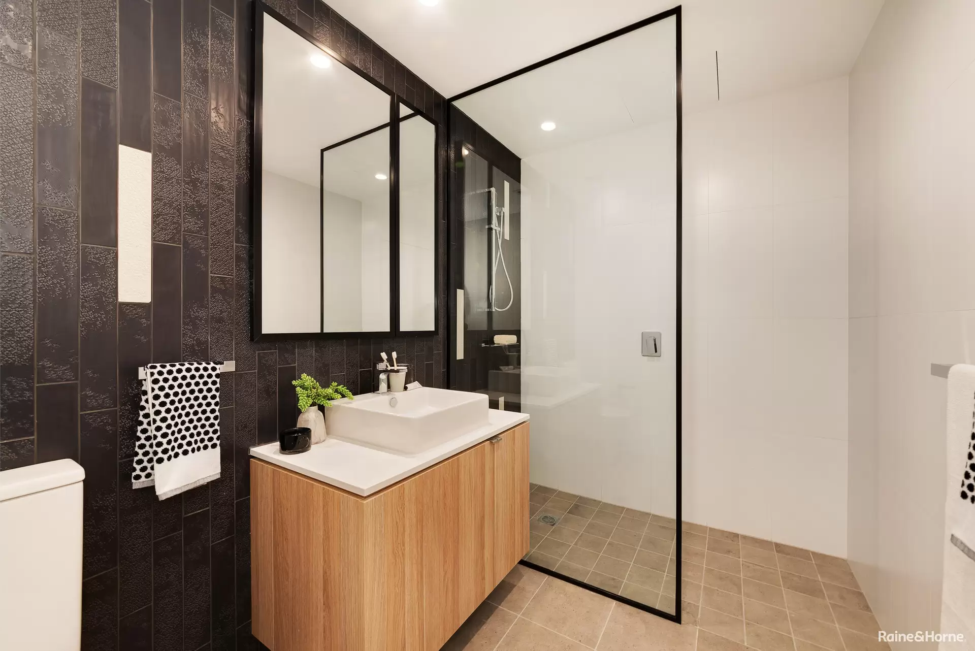 101/78 Mobbs Lane, Eastwood Leased by Raine & Horne Randwick | Coogee | Clovelly - image 1