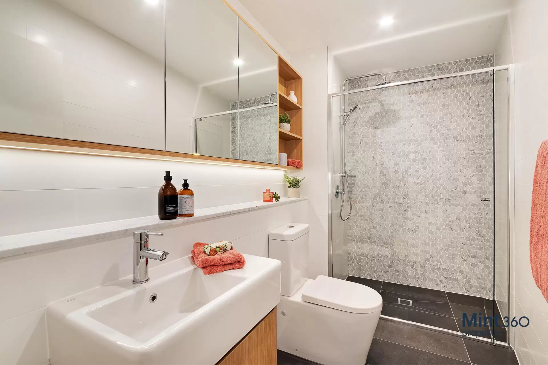 219/408 Victoria Road, Gladesville Leased by Raine & Horne Randwick | Coogee | Clovelly - image 1
