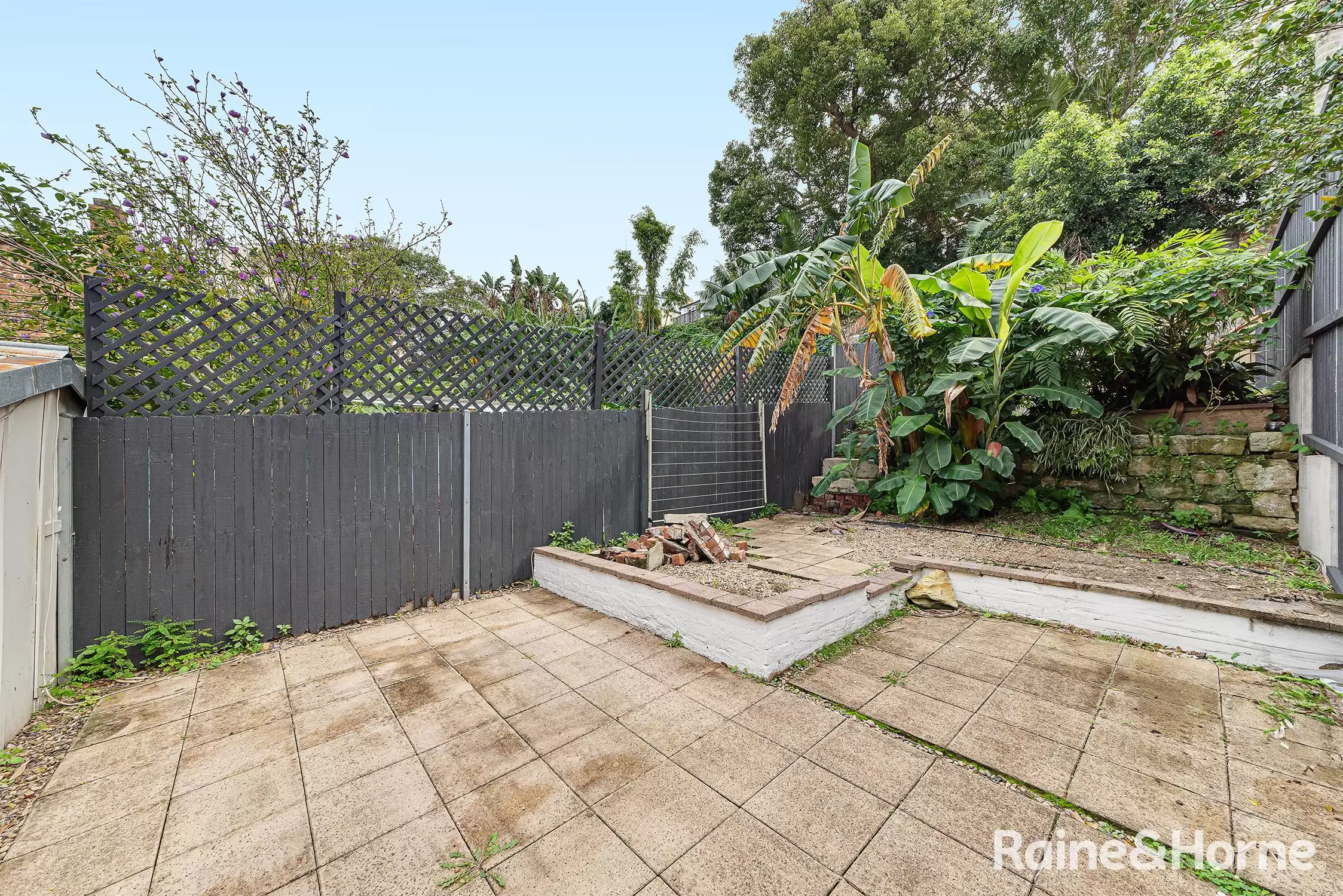 103 Womerah Avenue, Darlinghurst Leased by Raine & Horne Randwick | Coogee | Clovelly - image 6