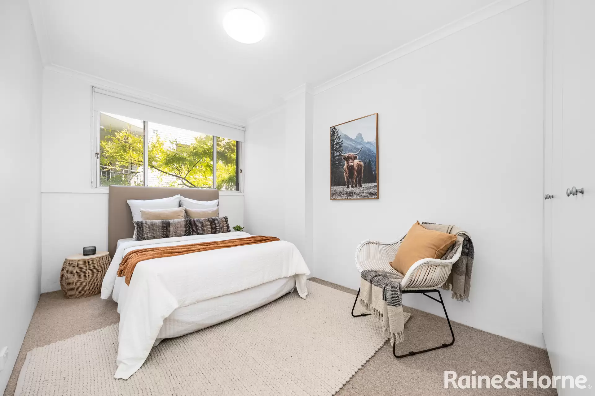 3/45 Prince Street, Randwick Leased by Raine & Horne Randwick | Coogee | Clovelly - image 1