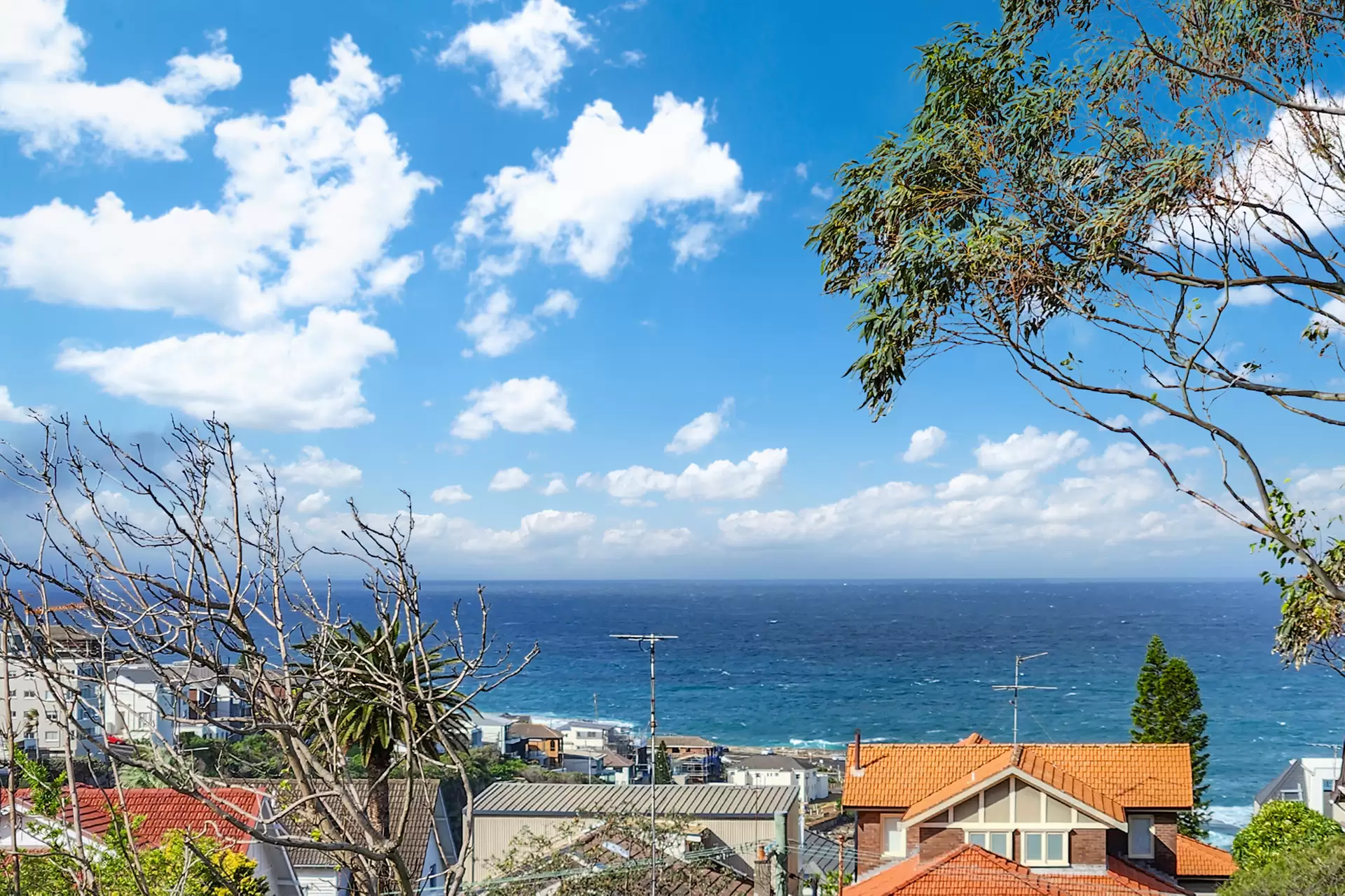 1/119 Arden Street, Coogee Leased by Raine & Horne Randwick | Coogee | Clovelly - image 1