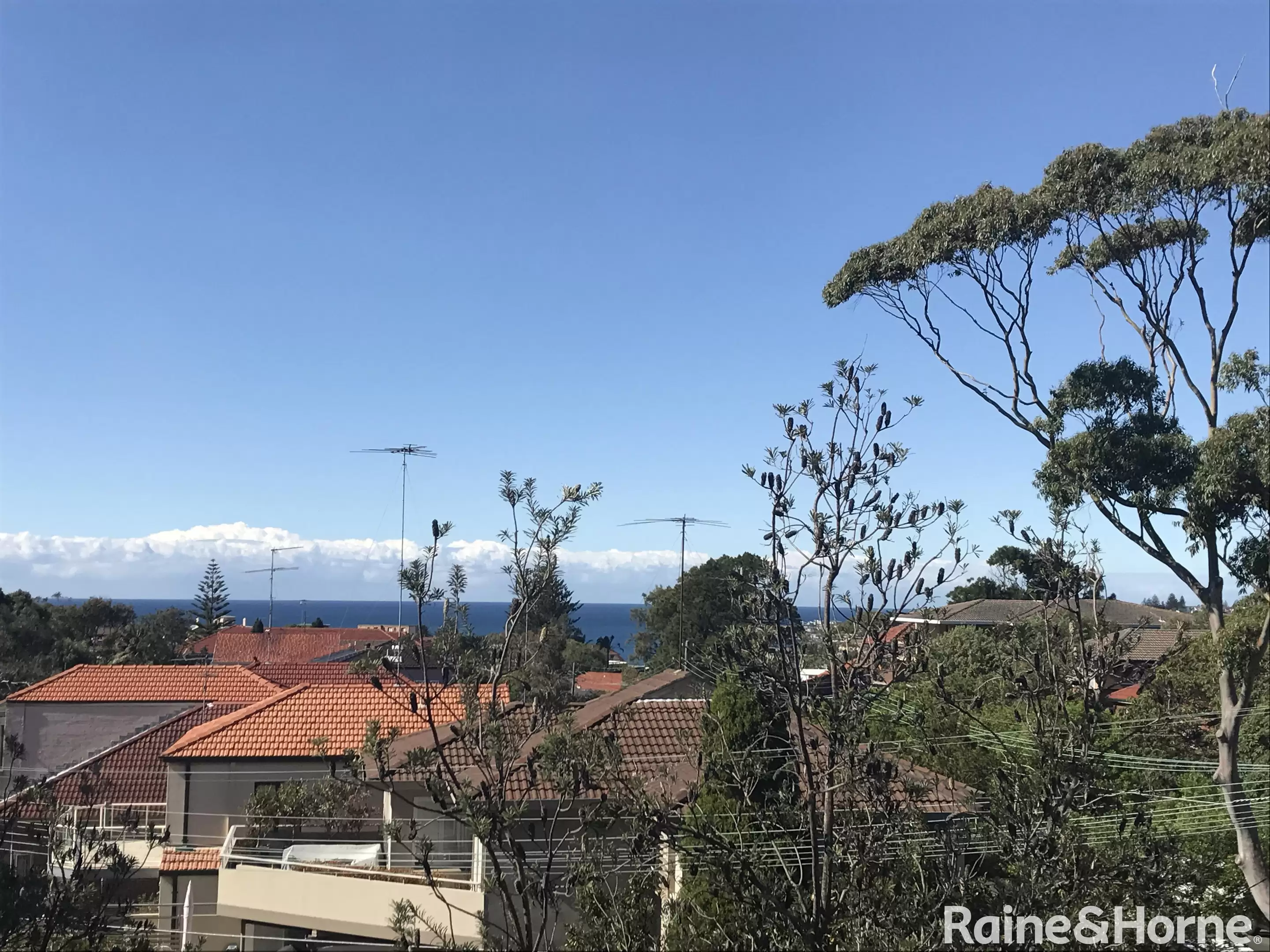 5/235 Clovelly Road, Clovelly Leased by Raine & Horne Randwick | Coogee | Clovelly - image 2