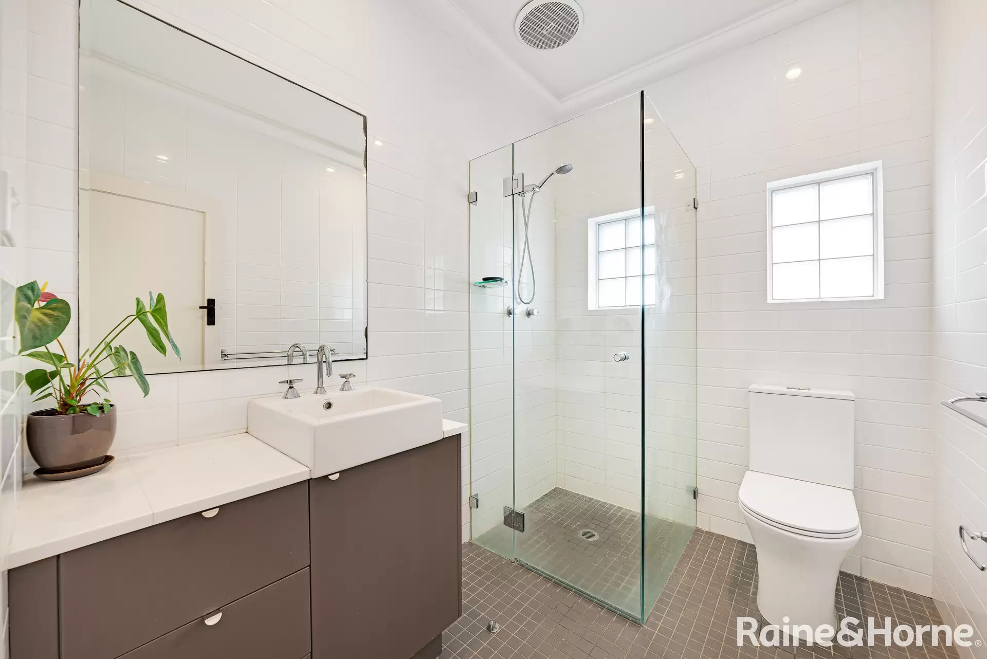 4/31B Fern Street, Clovelly Leased by Raine & Horne Randwick | Coogee | Clovelly - image 1