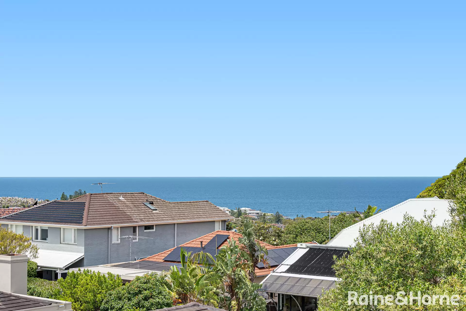 4/31B Fern Street, Clovelly Leased by Raine & Horne Randwick | Coogee | Clovelly - image 1