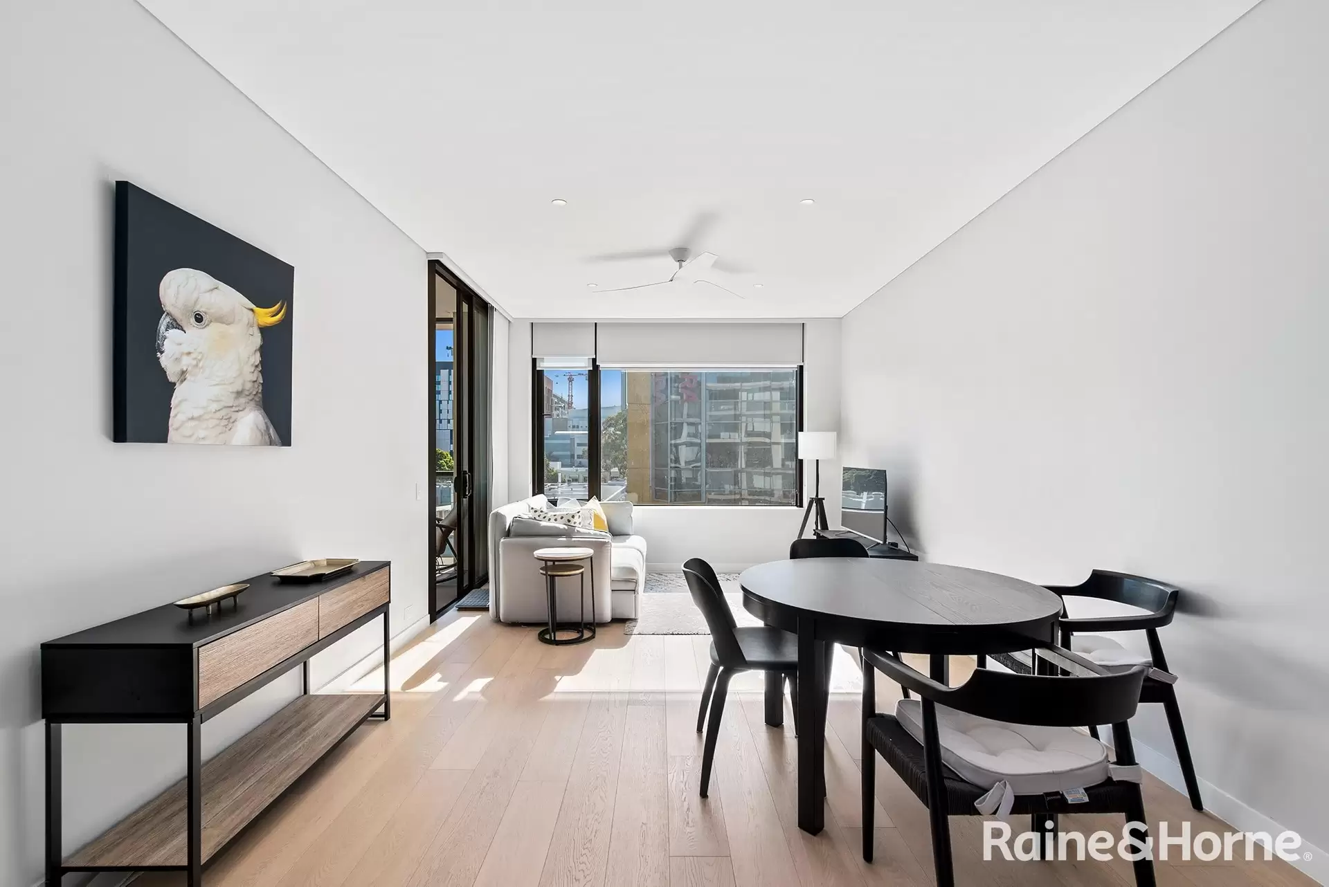 402/1 Young Street, Randwick Leased by Raine & Horne Randwick | Coogee | Clovelly - image 1