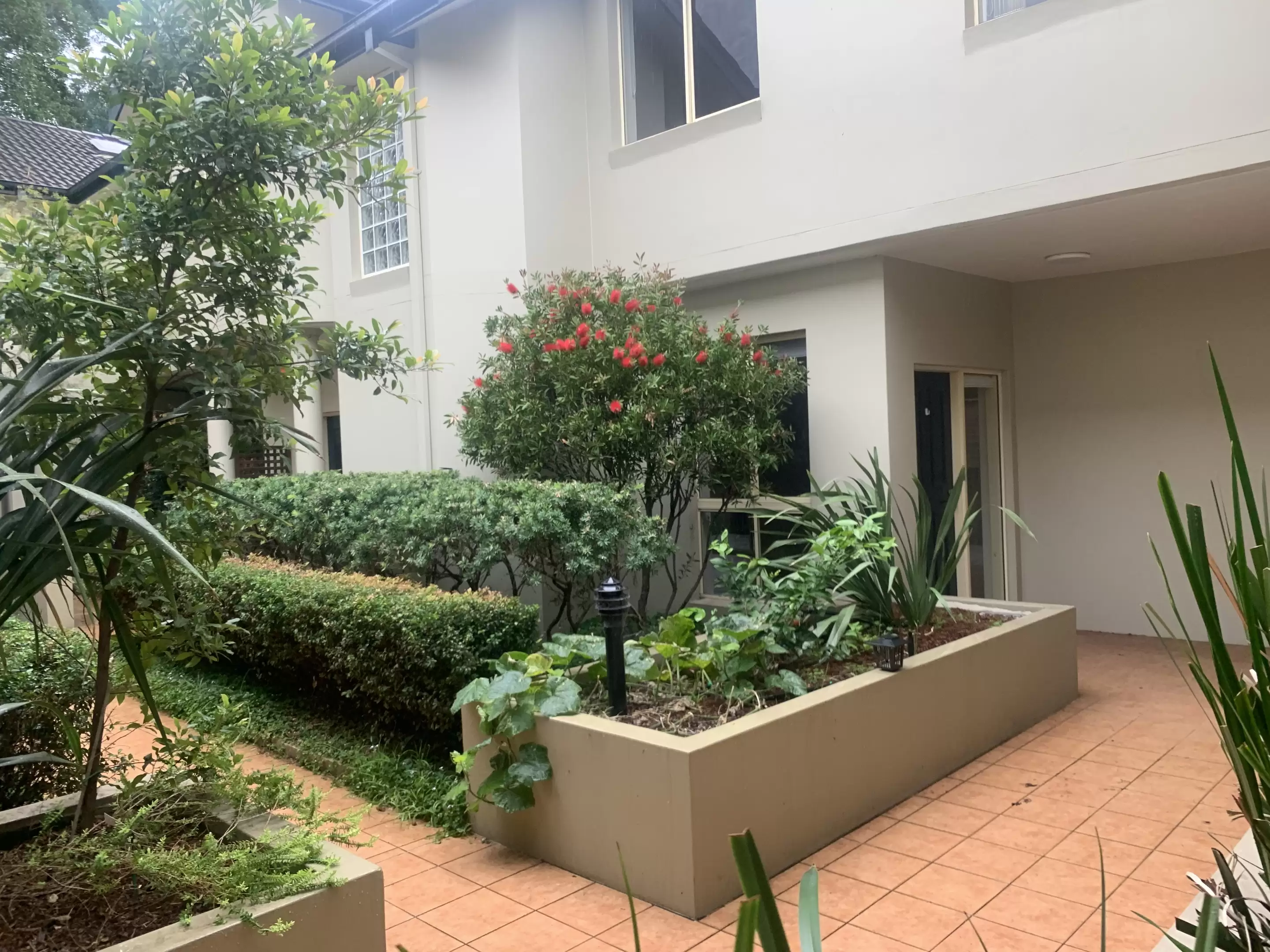 4/159 Perouse Road, Randwick Leased by Raine & Horne Randwick | Coogee | Clovelly - image 5