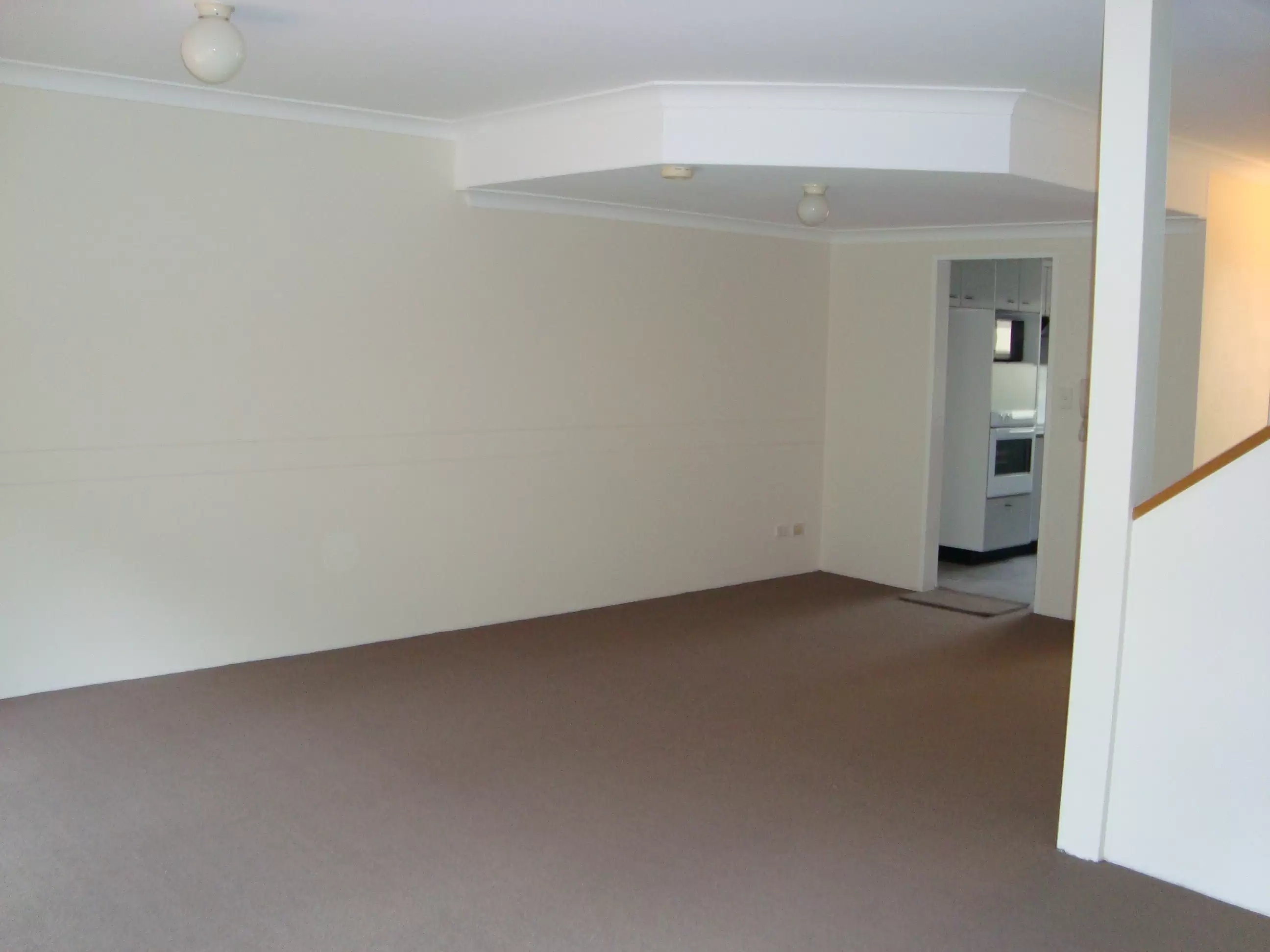 19/6-10 Dine  Street, Randwick Leased by Raine & Horne Randwick | Coogee | Clovelly - image 4