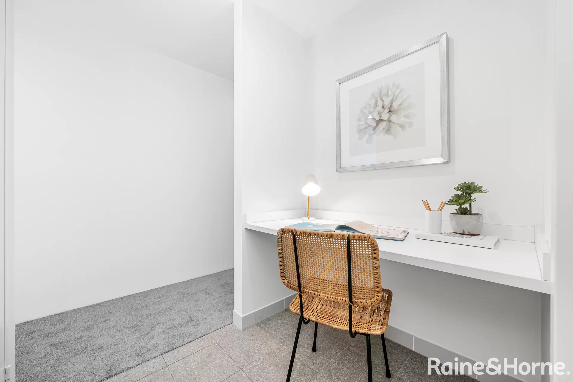 102/207 Barker Street, Randwick Leased by Raine & Horne Randwick | Coogee | Clovelly - image 1