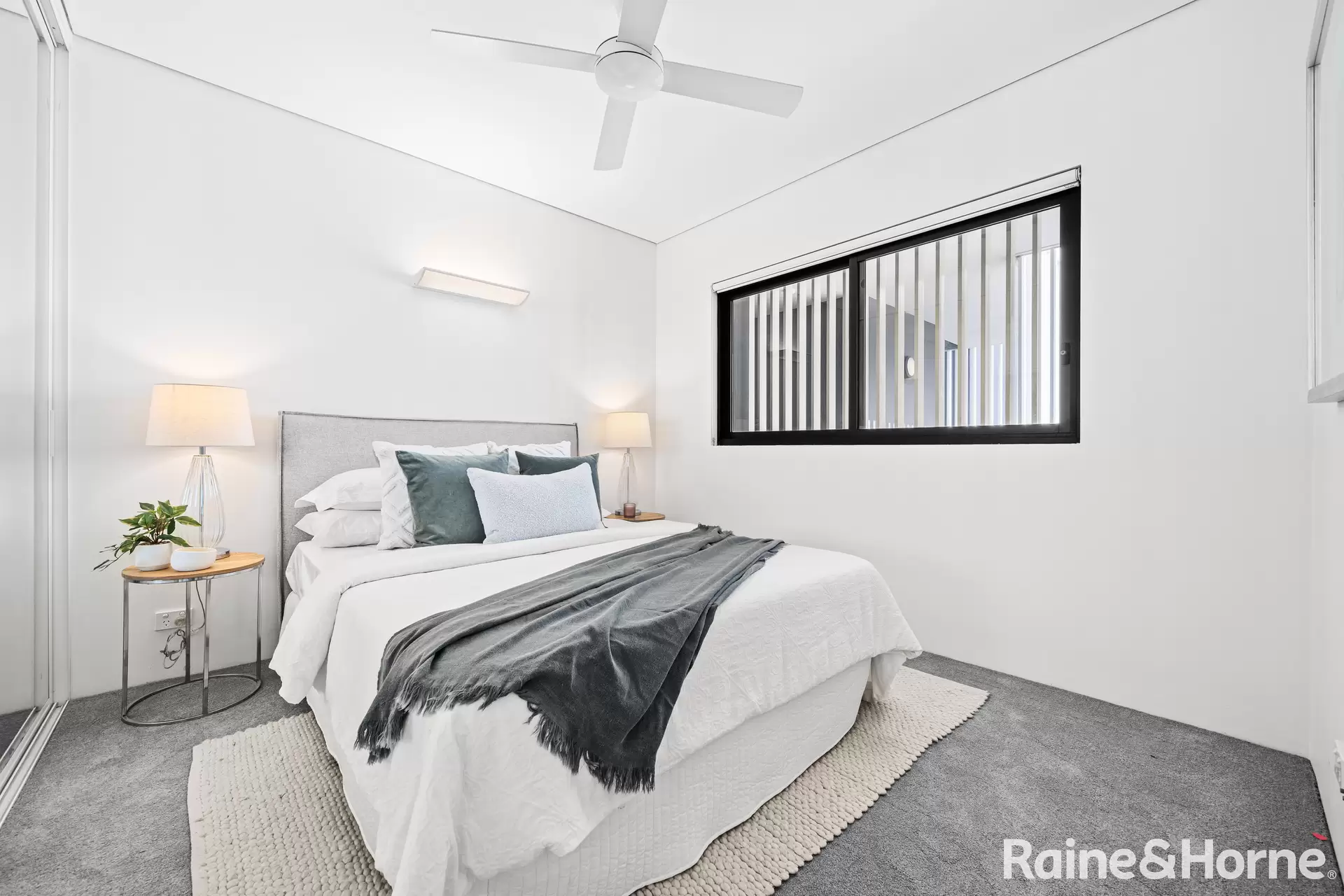 102/207 Barker Street, Randwick Leased by Raine & Horne Randwick | Coogee | Clovelly - image 1