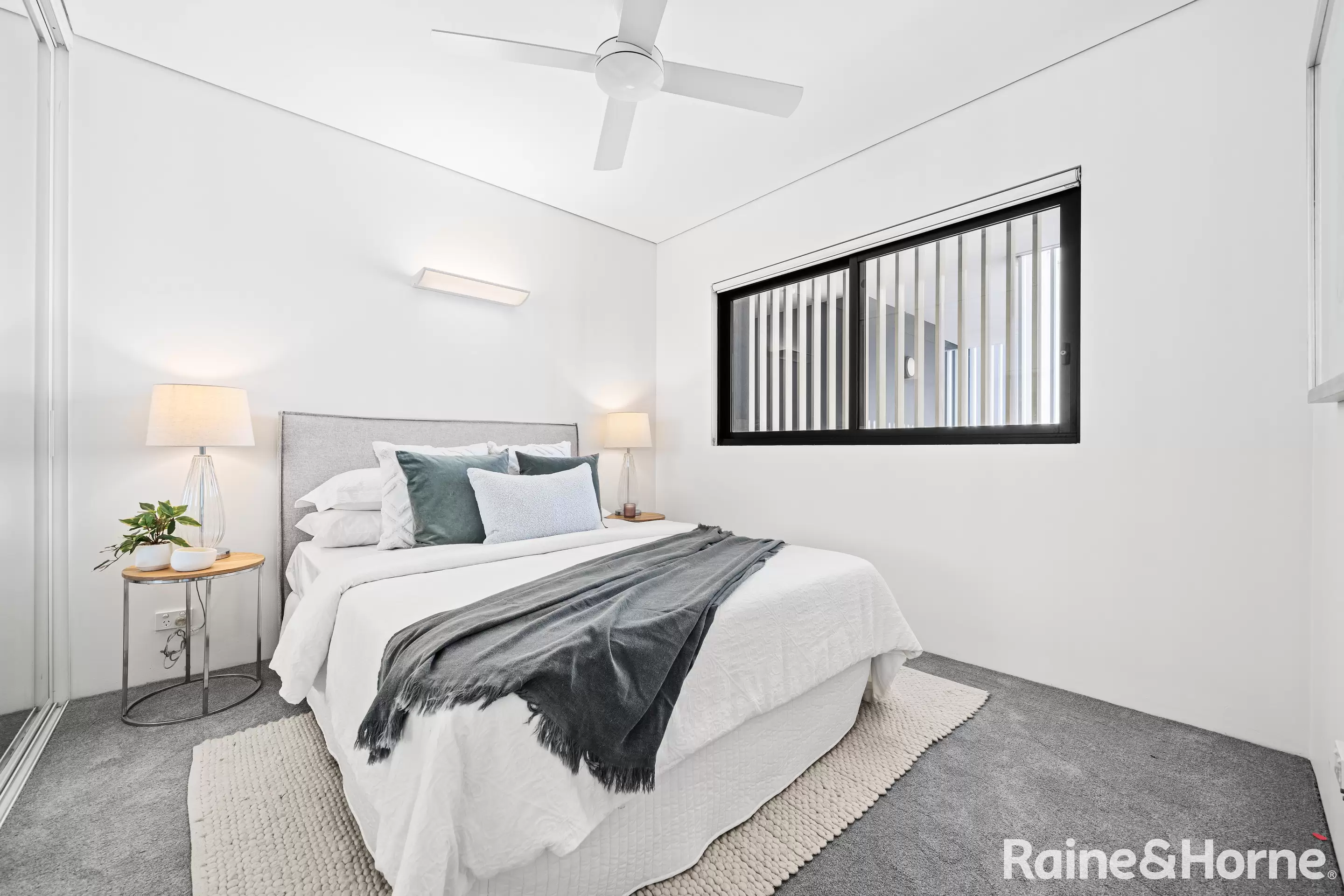 102/207 Barker Street, Randwick Leased by Raine & Horne Randwick | Coogee | Clovelly - image 3