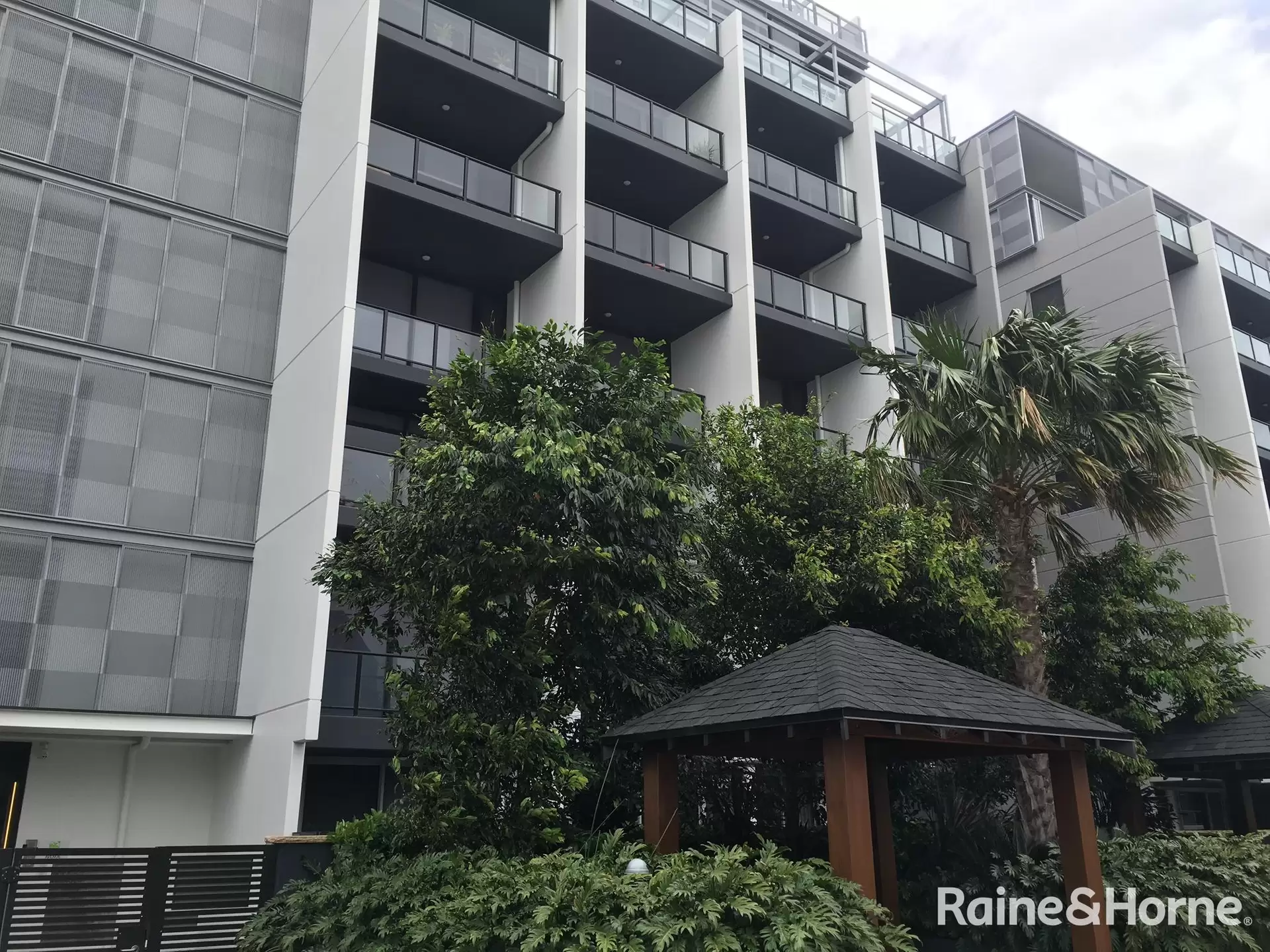 C203/15 Joynton Avenue, Zetland Leased by Raine & Horne Randwick | Coogee | Clovelly - image 1