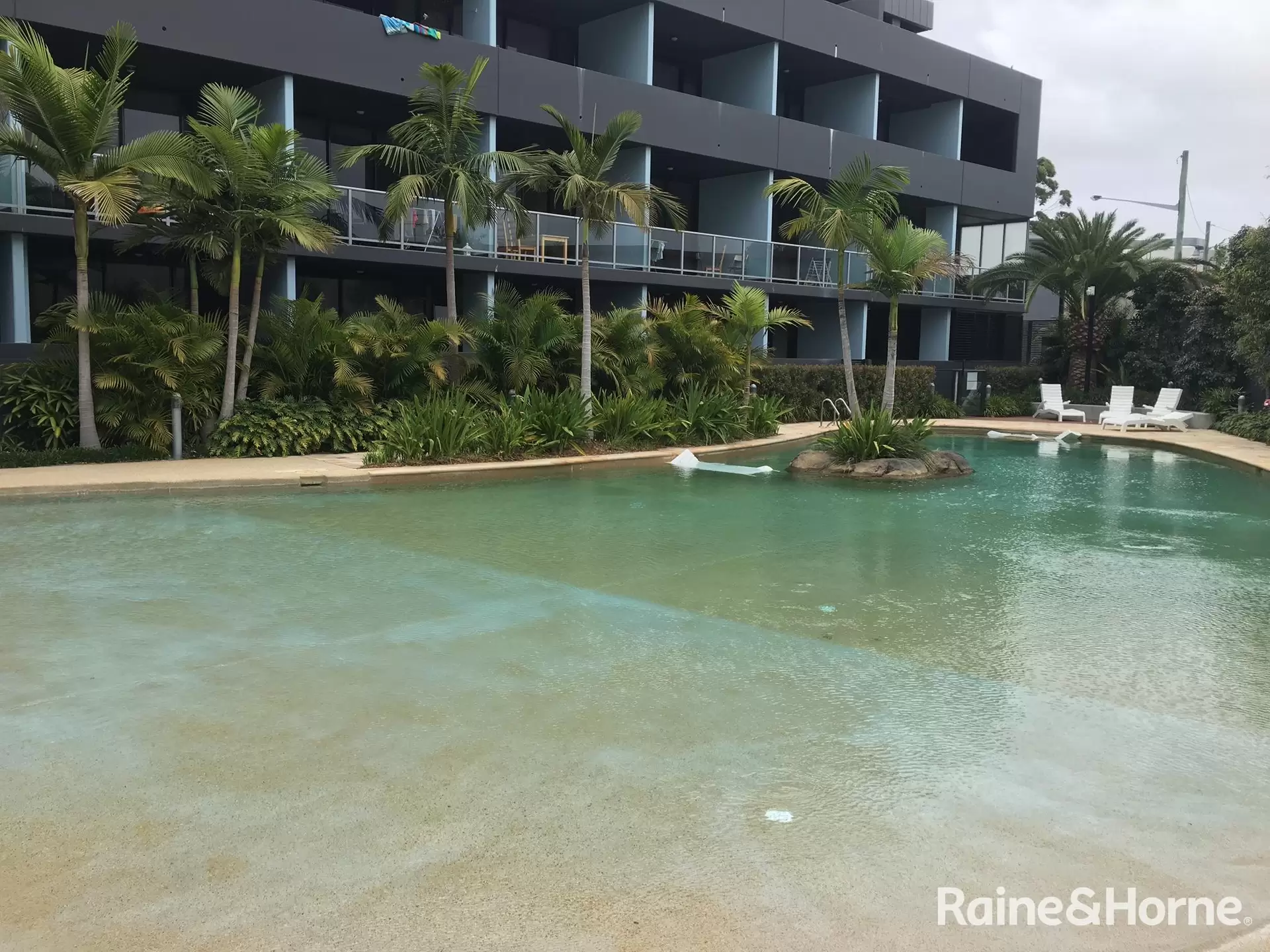 C203/15 Joynton Avenue, Zetland Leased by Raine & Horne Randwick | Coogee | Clovelly - image 1